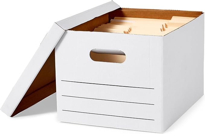 Sheds Depot Basics Storage/Filing Boxes with Lift-Off Lid, Letter/Legal Size, Collapsible