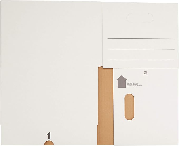 Sheds Depot Basics Storage/Filing Boxes with Lift-Off Lid, Letter/Legal Size, Collapsible