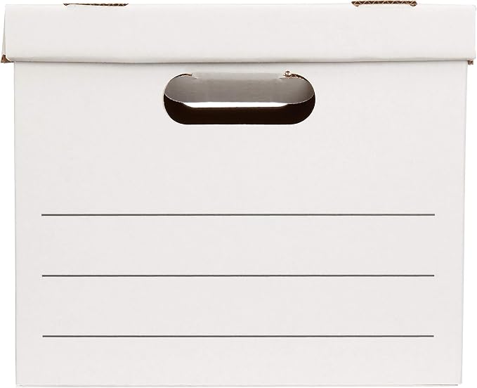Sheds Depot Basics Storage/Filing Boxes with Lift-Off Lid, Letter/Legal Size, Collapsible